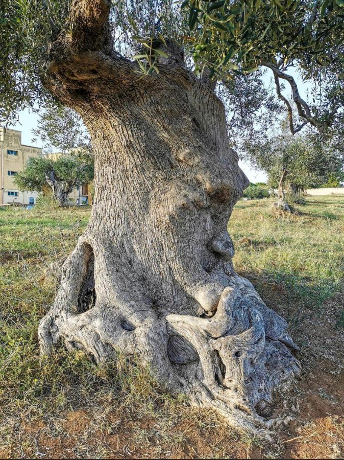 Dimora D'Errico - Monolocale Nel Centro Storico Apartment Carovigno Bagian luar foto
